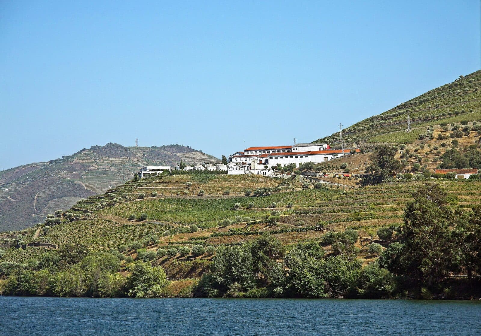 Edifícios brancos da Quinta de São Luiz no alto de uma encosta de vinha em socalcos, sobre o rio Douro