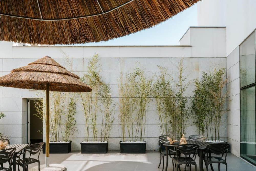 Boticas Hotel - Art & SPA — foto 2