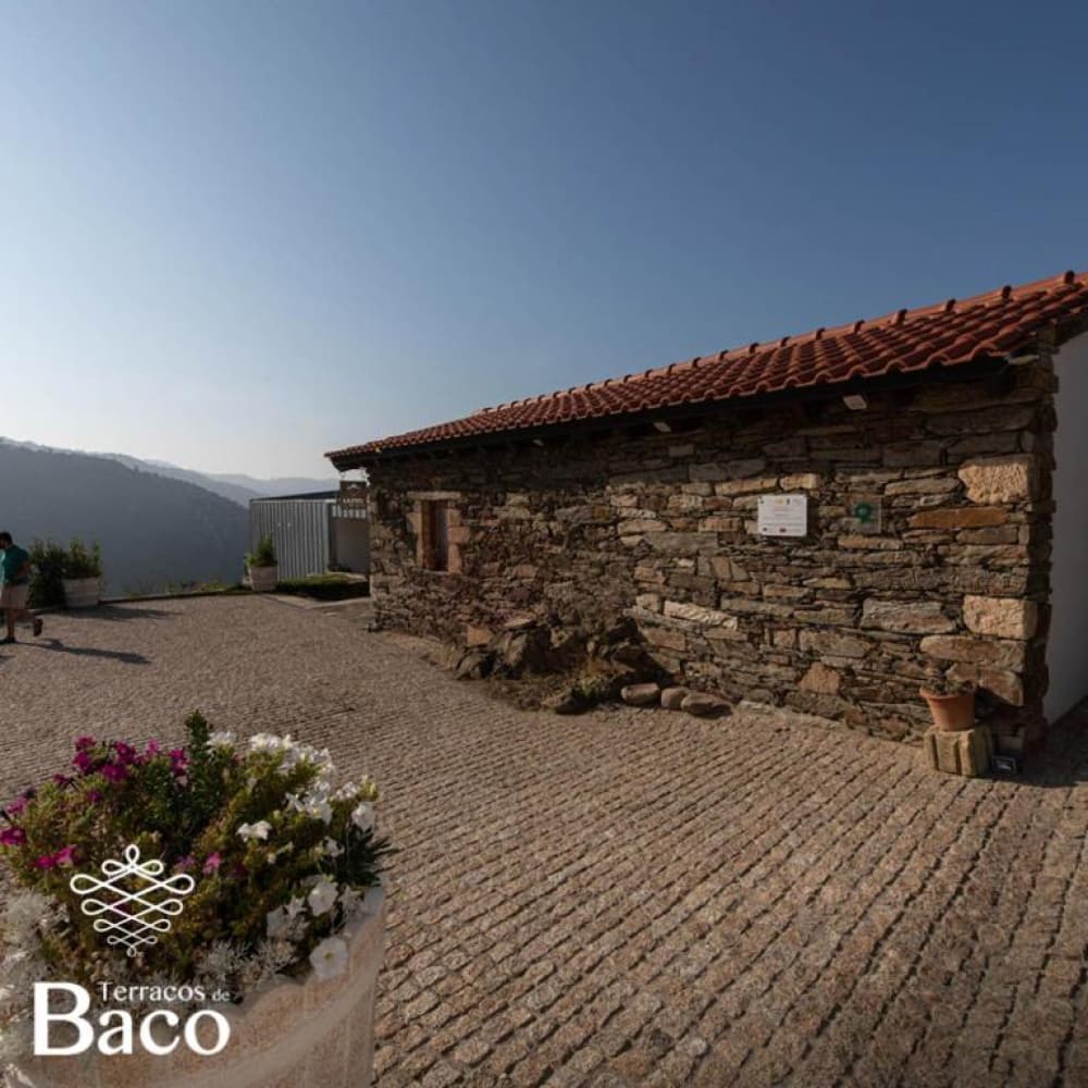 Terraços de Baco — foto 7