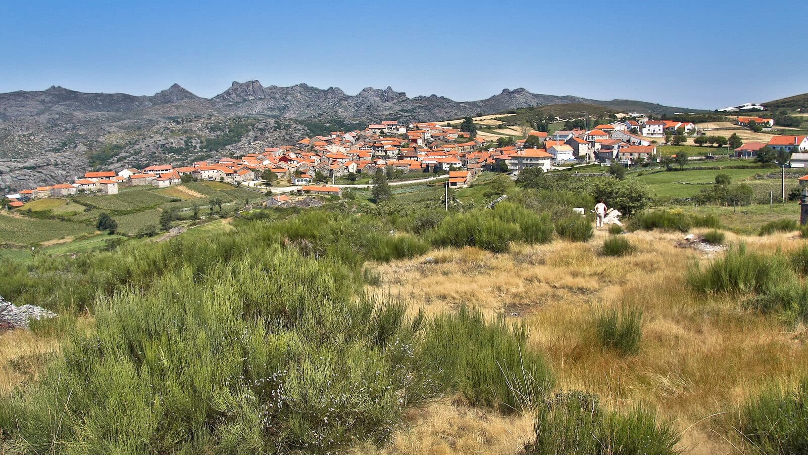Aldeia de Pitões das Júnias com casas de pedra e telhados vermelhos no planalto, as cristas de granito do Gerês ao fundo e giestas em primeiro plano