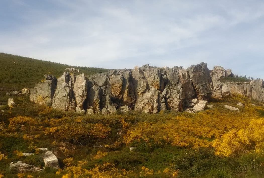 Afloramento rochoso e giestas em flor na serra dos Passos, em Mirandela