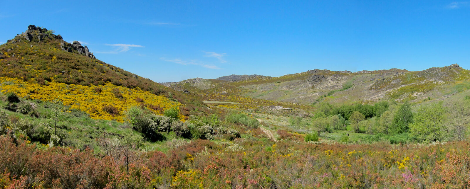 Panorâmica do planalto granítico da serra de Montesinho, com urzes, giestas e blocos de granito