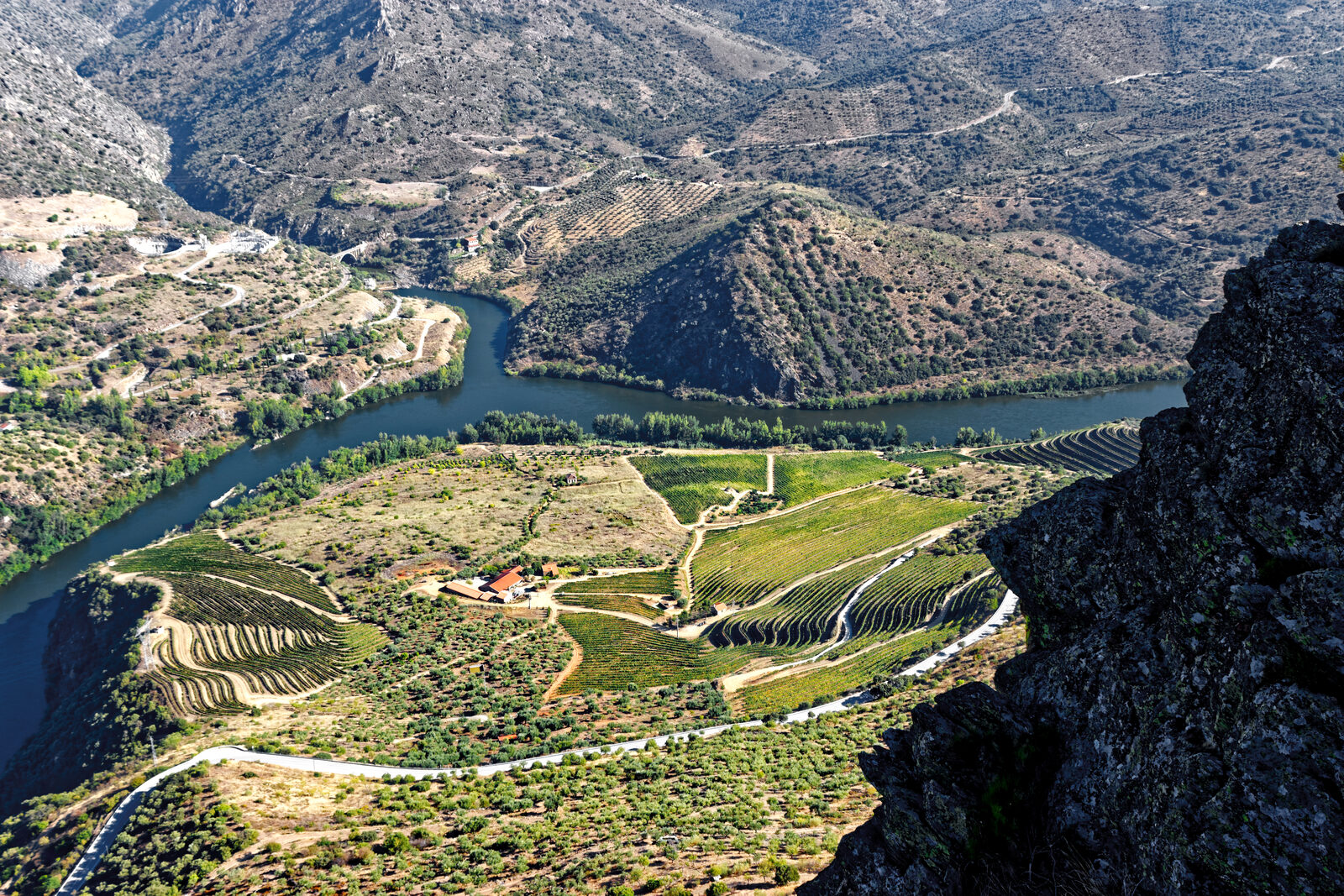 Vista do alto do Penedo Durão sobre o rio Douro, com vinhas e olivais na margem portuguesa e as encostas de Espanha em frente