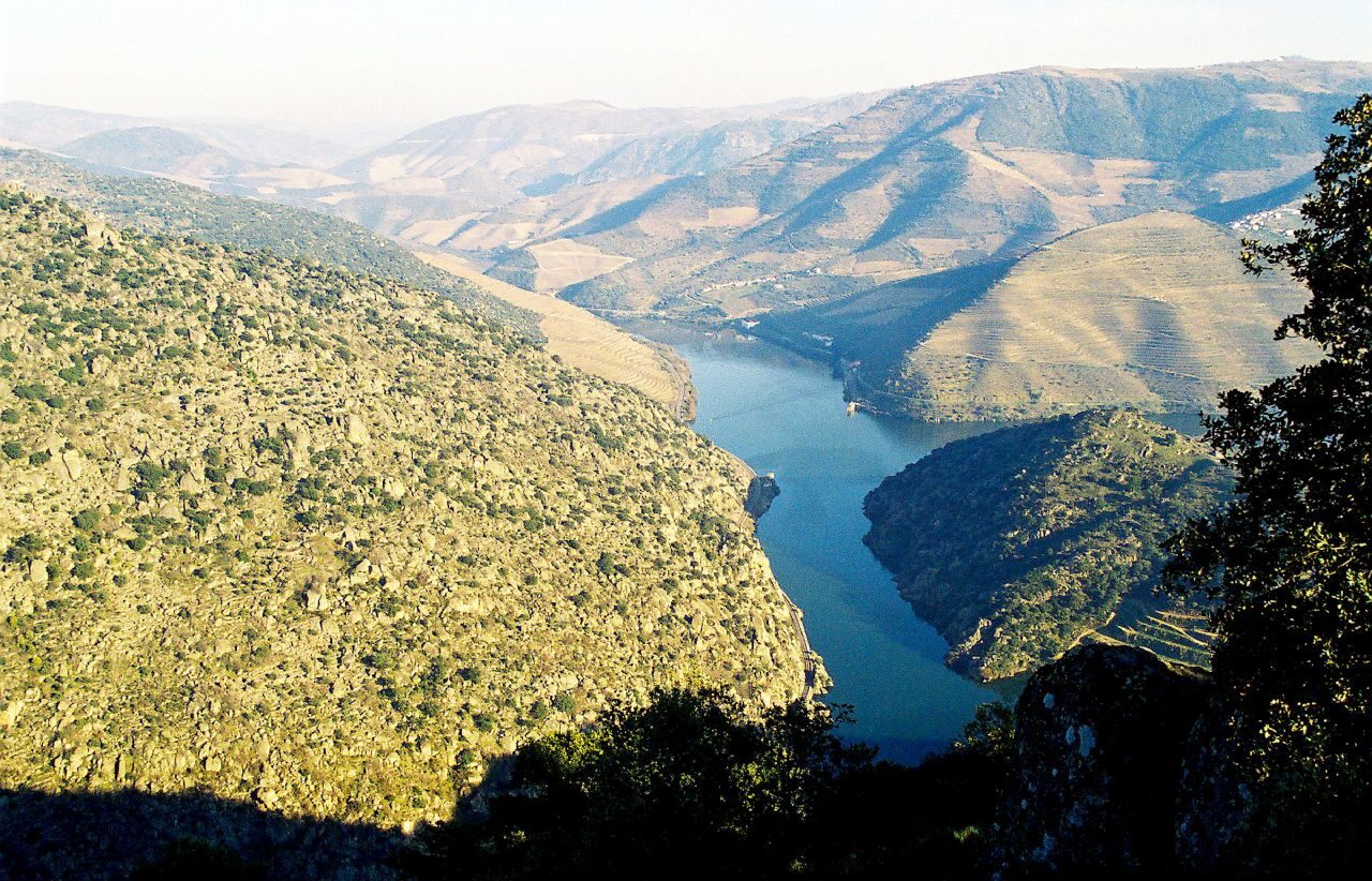 O rio Douro encaixado entre encostas de pedra e mato, visto do alto do miradouro de São Salvador do Mundo
