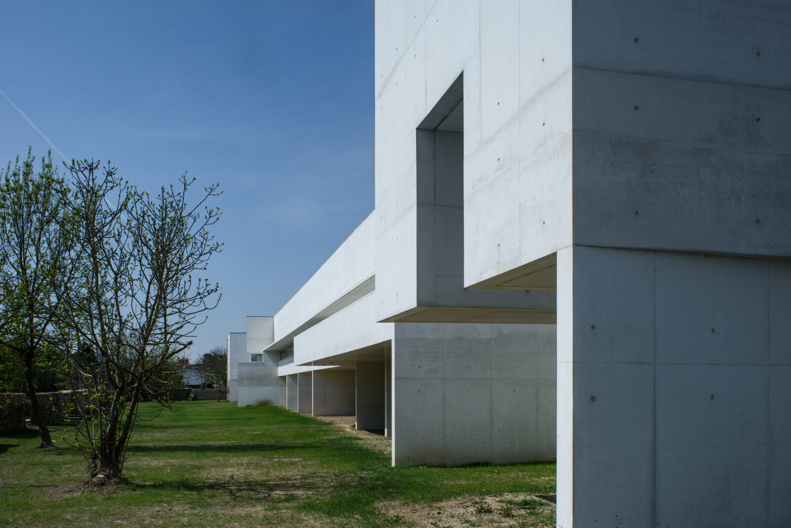 Fachada de betão branco do Museu Nadir Afonso, com um corpo em consola sobre a entrada e árvores no relvado