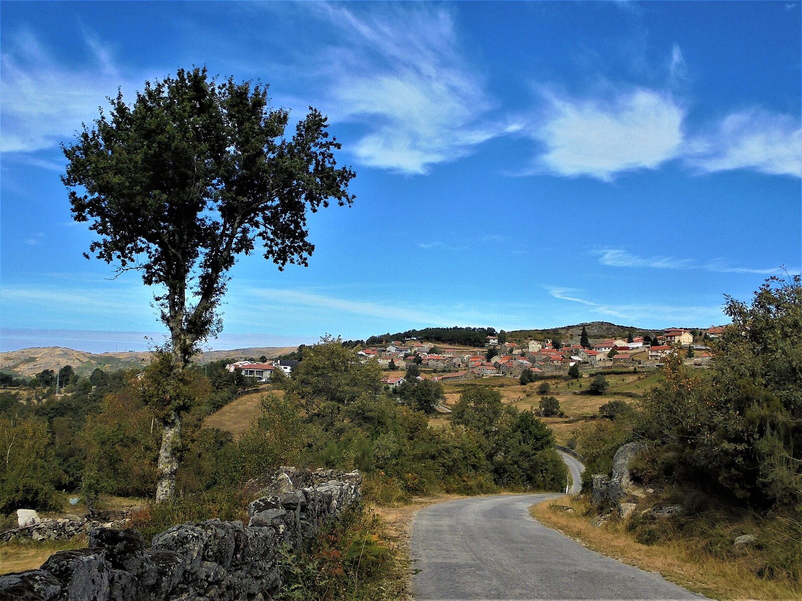 Estrada a entrar na aldeia de Lamas de Olo, com casas de granito no planalto e uma árvore em primeiro plano