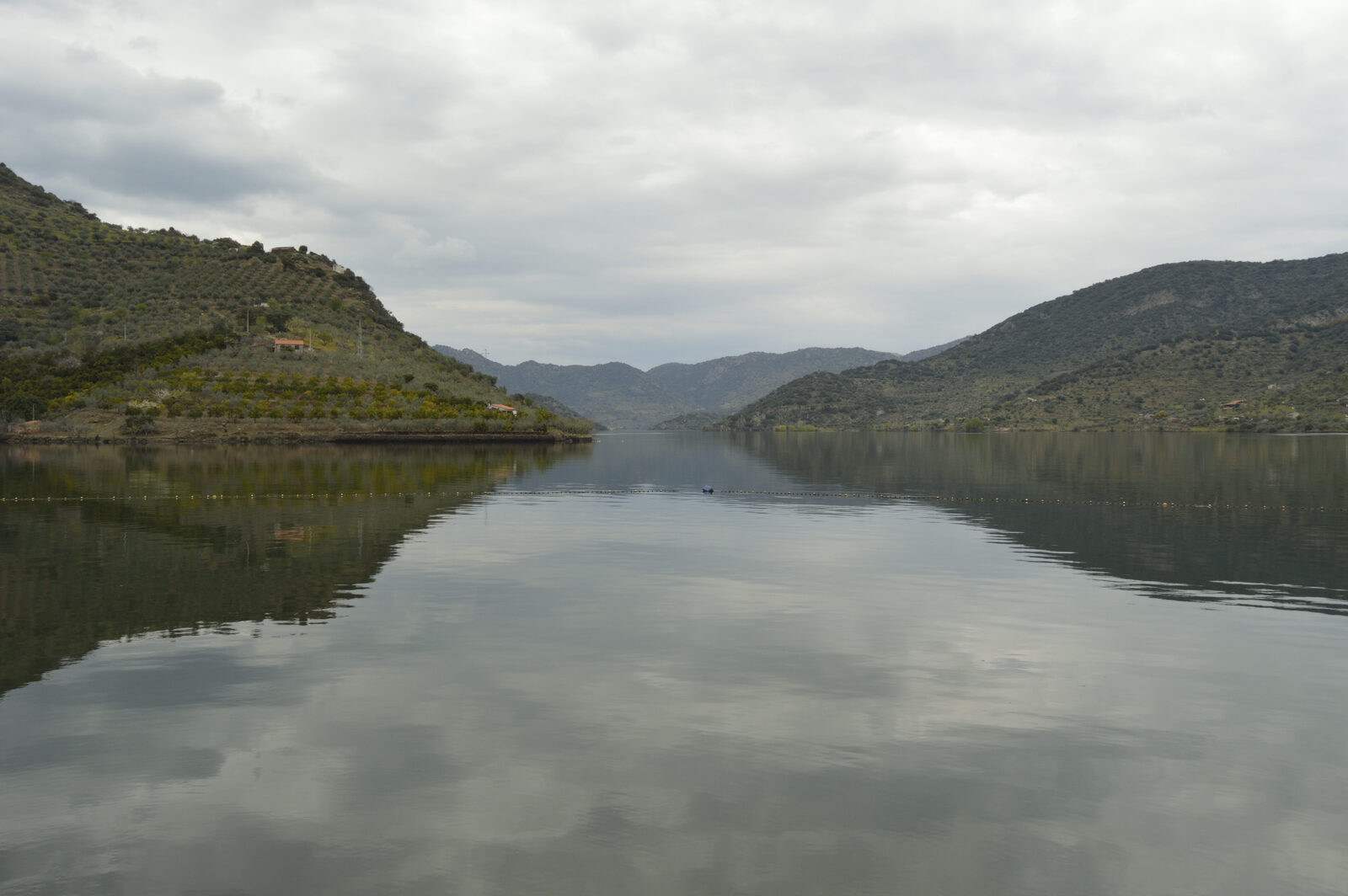 O rio Douro na Congida, com as encostas de olival e amendoal reflectidas na água calma