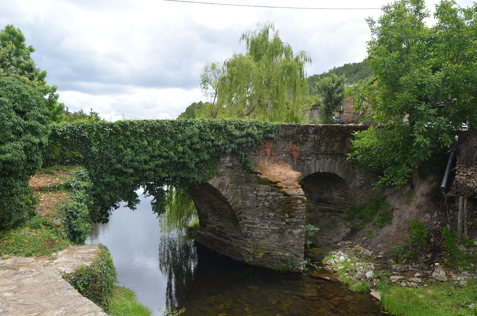 A ponte de pedra sobre o rio Onor, coberta de hera